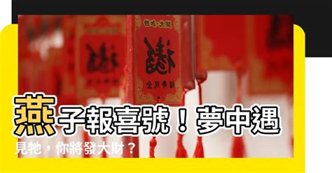 燕子要簽幾號|【燕子代表幾號】夢見2隻燕子？解夢解析「燕子代表幾號」，一。